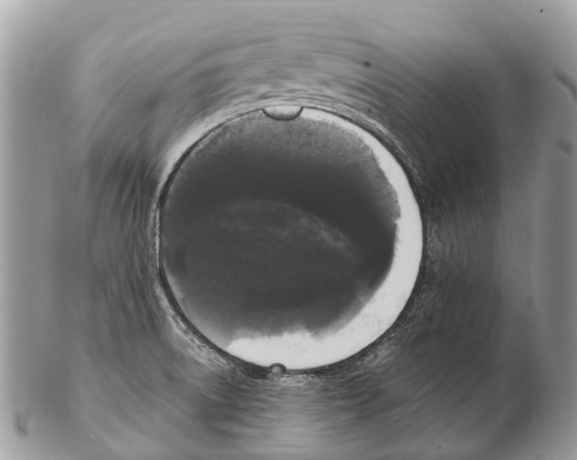 X0000102481522200809051344