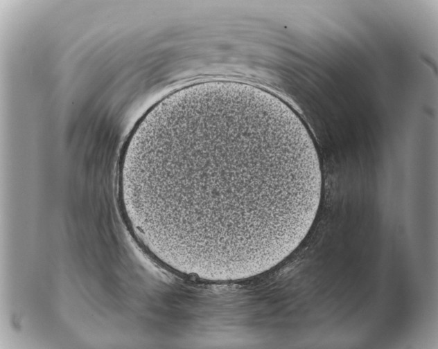 X0000102481523200809051344