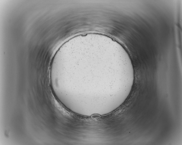 X0000102481524200809051344