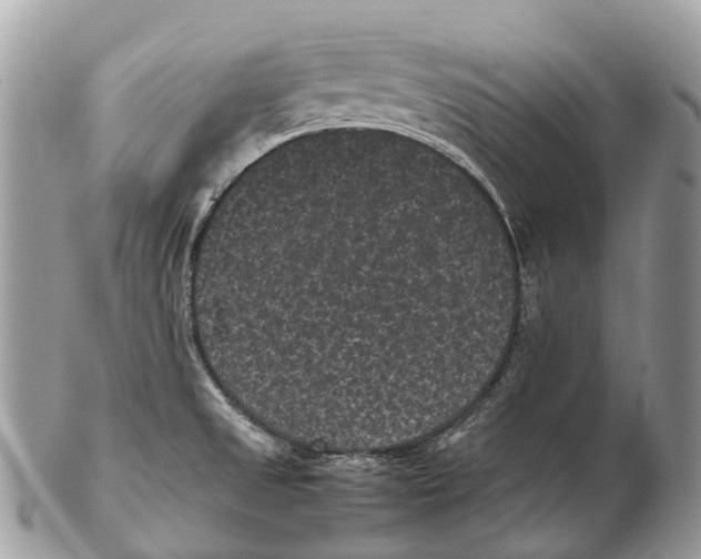 X0000102481525200809051344