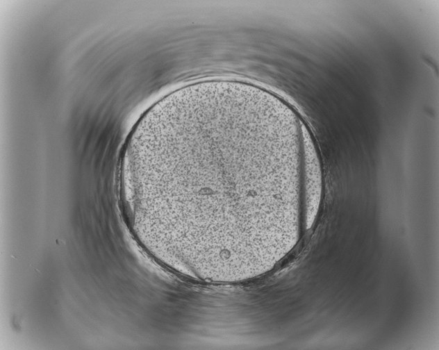 X0000102481526200809051344