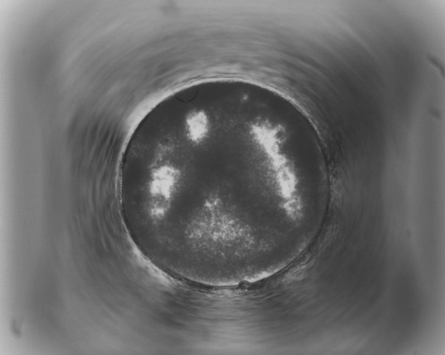 X0000102481527200809051344