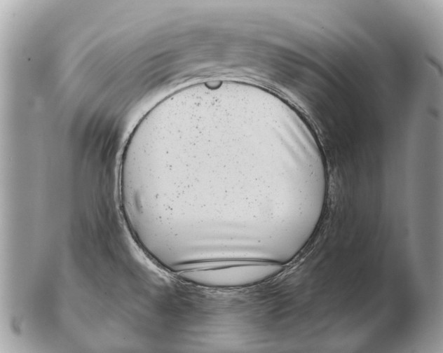 X0000102481528200809051344