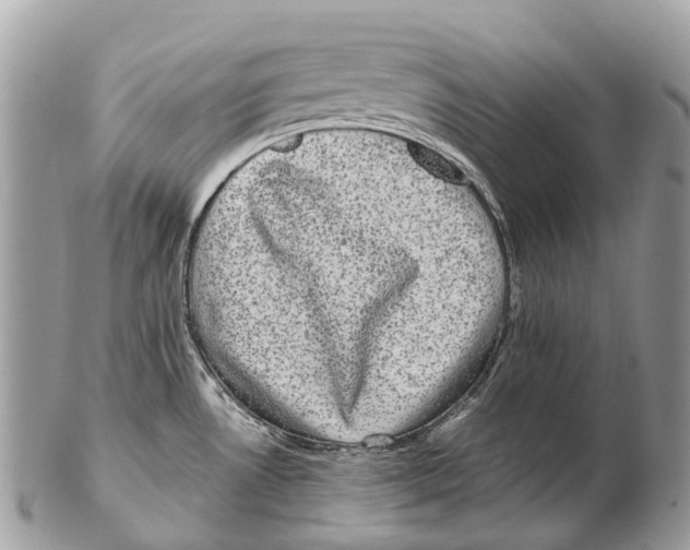 X0000102481530200809051344