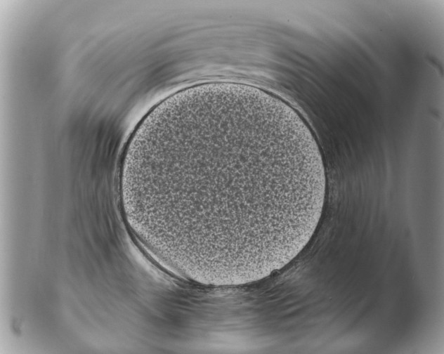 X0000102481531200809051344