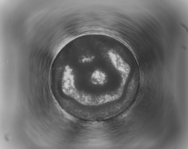 X0000102481533200809051344