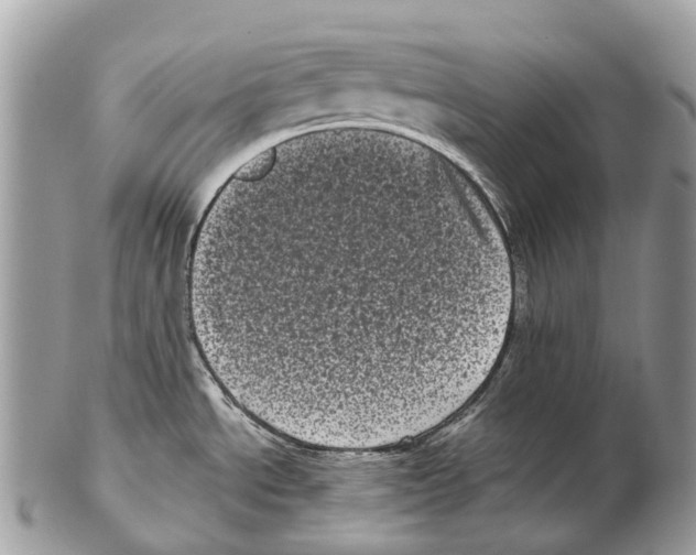 X0000102481534200809051344