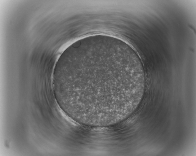 X0000102481535200809051344