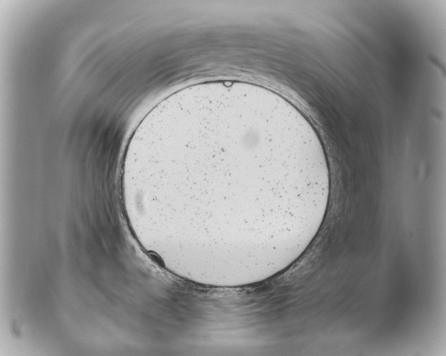 X0000102481536200809051344