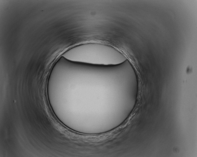 X0000102490001200808081107