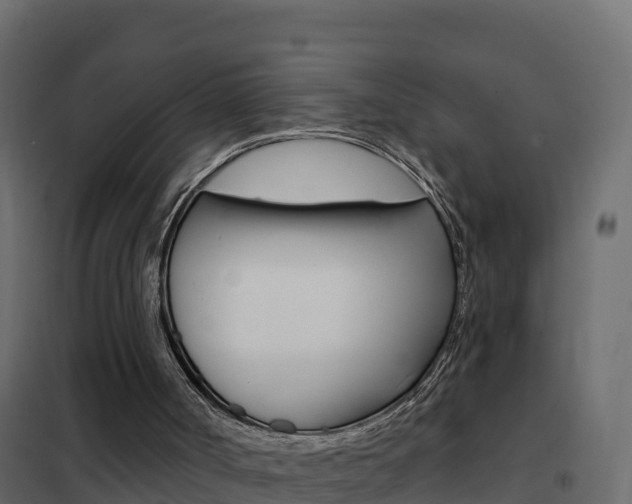 X0000102490002200808081107