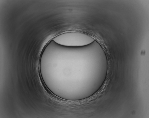 X0000102490003200808081107