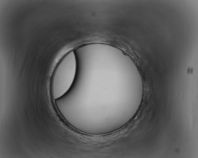 X0000102490006200808081107
