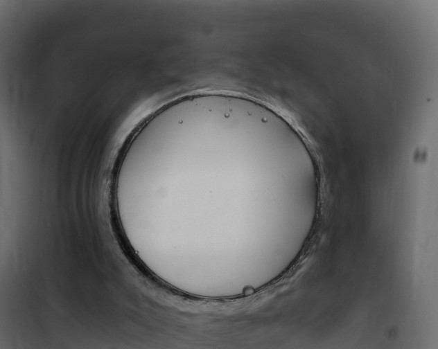 X0000102490007200808081107