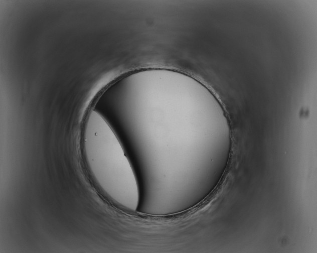 X0000102490008200808081107