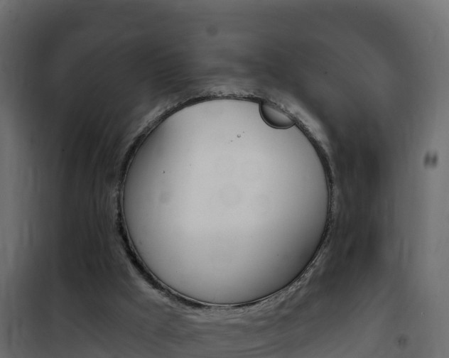 X0000102490009200808081107