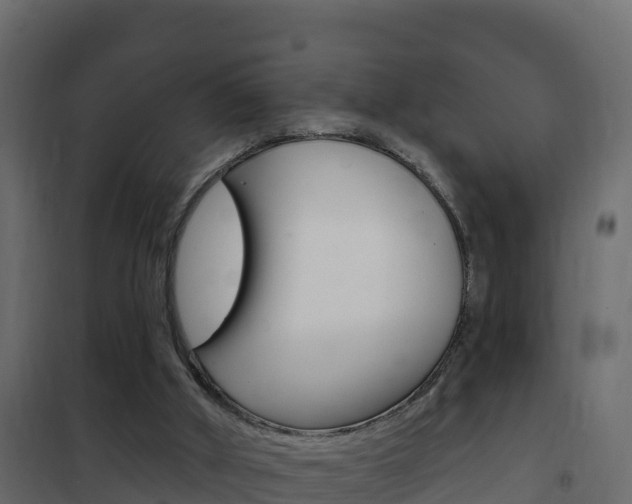 X0000102490010200808081107