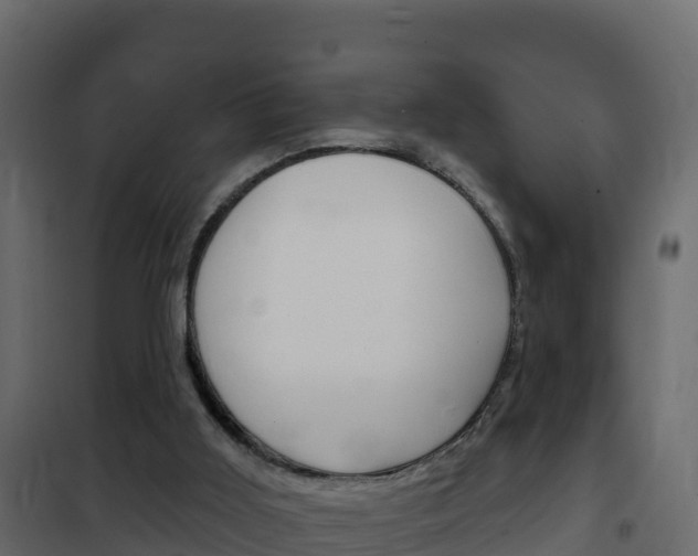 X0000102490011200808081107