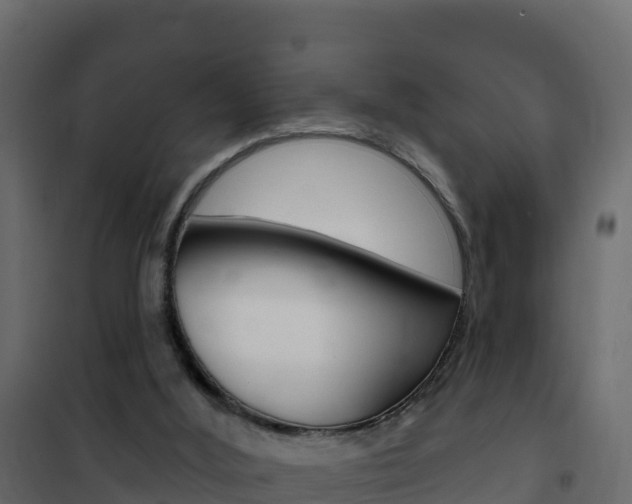 X0000102490012200808081107