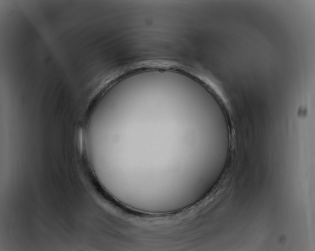 X0000102490013200808081107