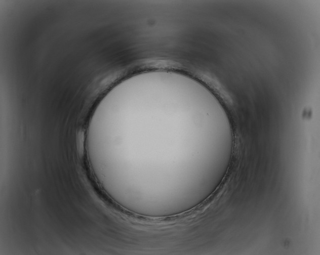 X0000102490014200808081107