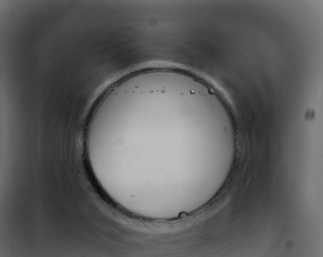 X0000102490015200808081107