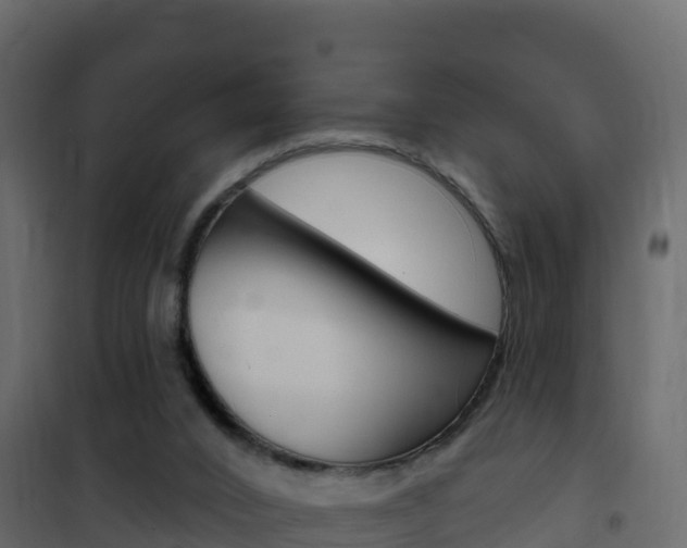 X0000102490016200808081107
