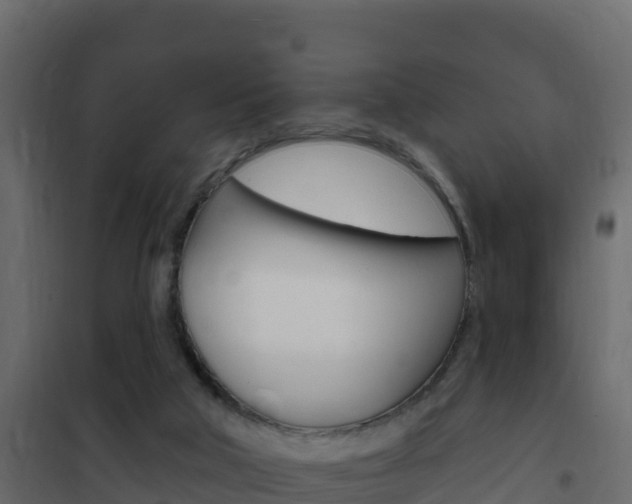 X0000102490018200808081107
