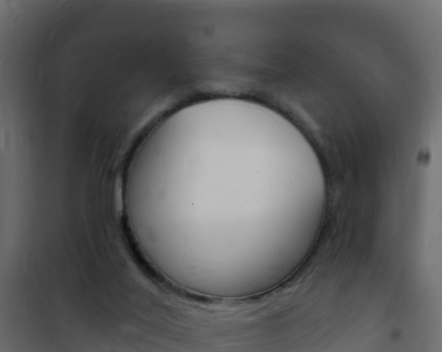 X0000102490020200808081107