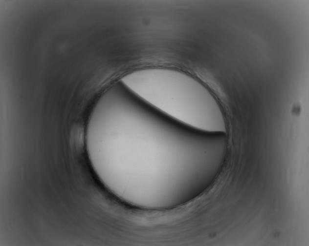 X0000102490021200808081107