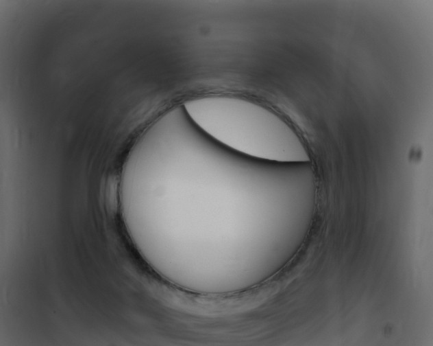 X0000102490022200808081107
