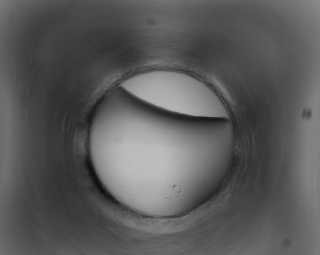 X0000102490023200808081107
