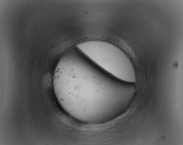 X0000102490025200808081107