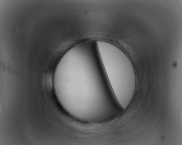 X0000102490028200808081107