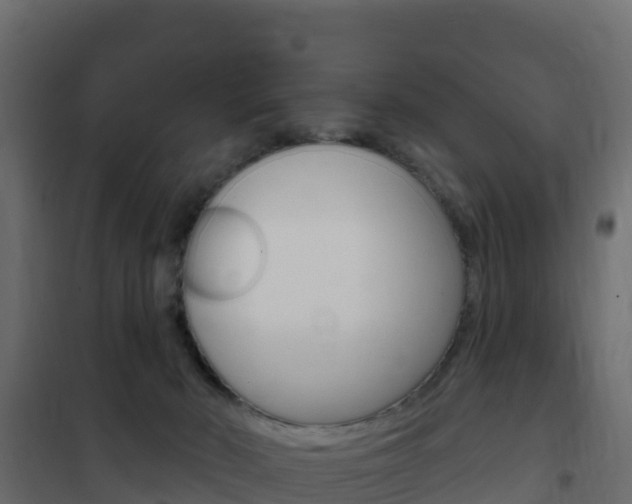 X0000102490030200808081107