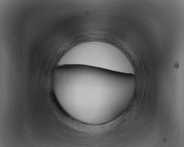 X0000102490031200808081107