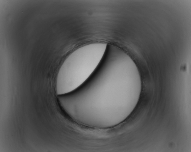 X0000102490032200808081107