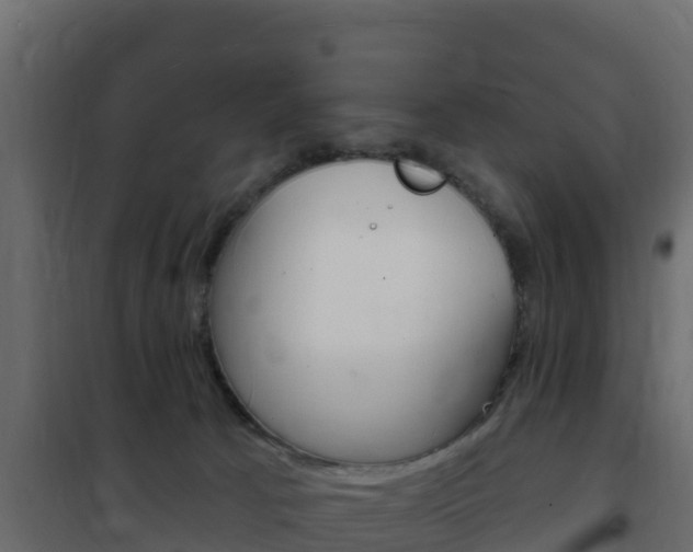 X0000102490033200808081107