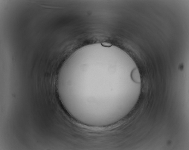 X0000102490034200808081107