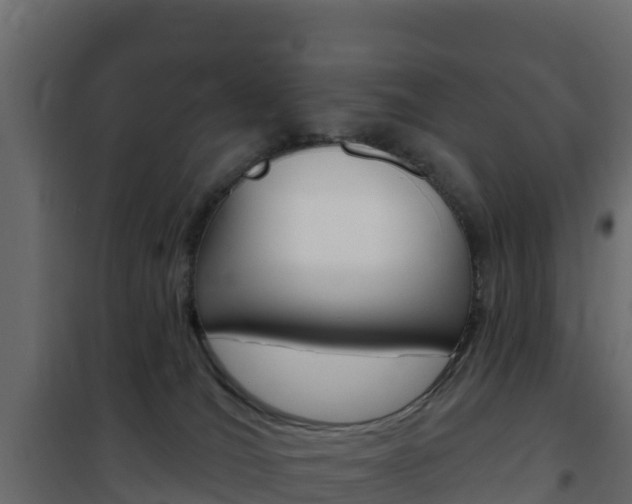 X0000102490036200808081107