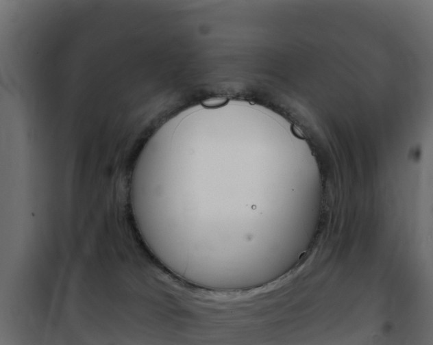 X0000102490037200808081106