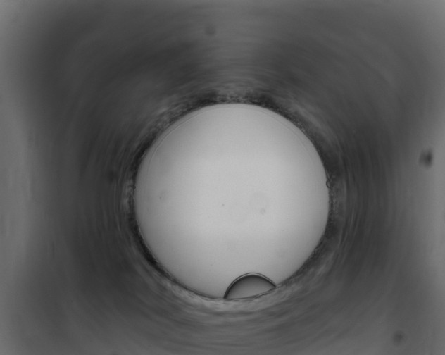 X0000102490038200808081106