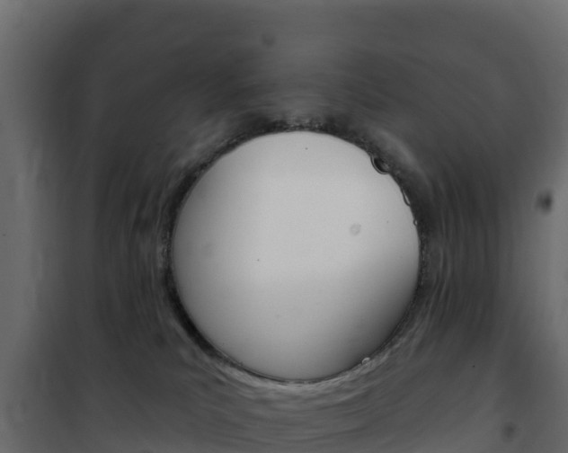 X0000102490039200808081106