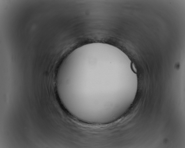 X0000102490040200808081106