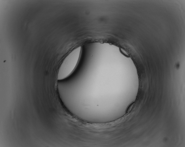 X0000102490041200808081106