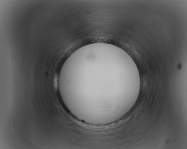 X0000102490042200808081106