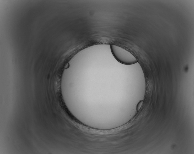X0000102490043200808081106