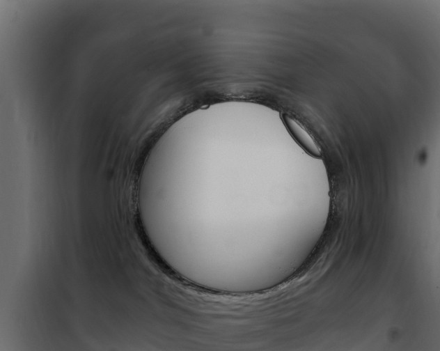 X0000102490044200808081106