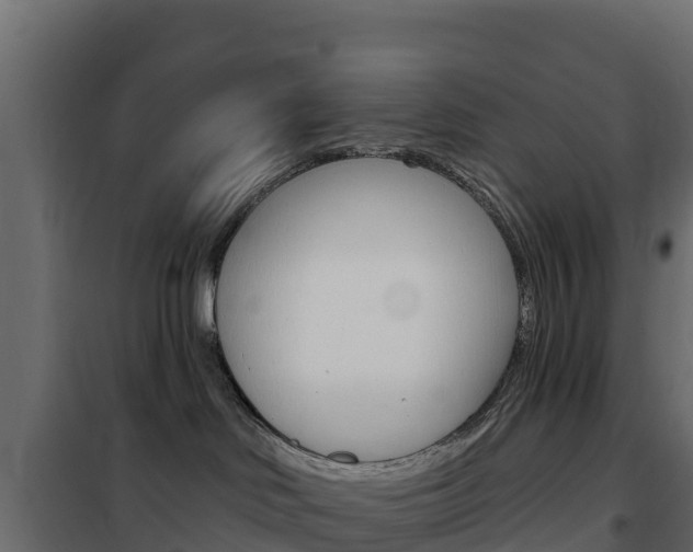 X0000102490046200808081106