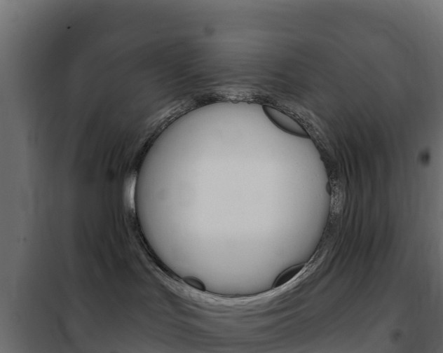 X0000102490047200808081106